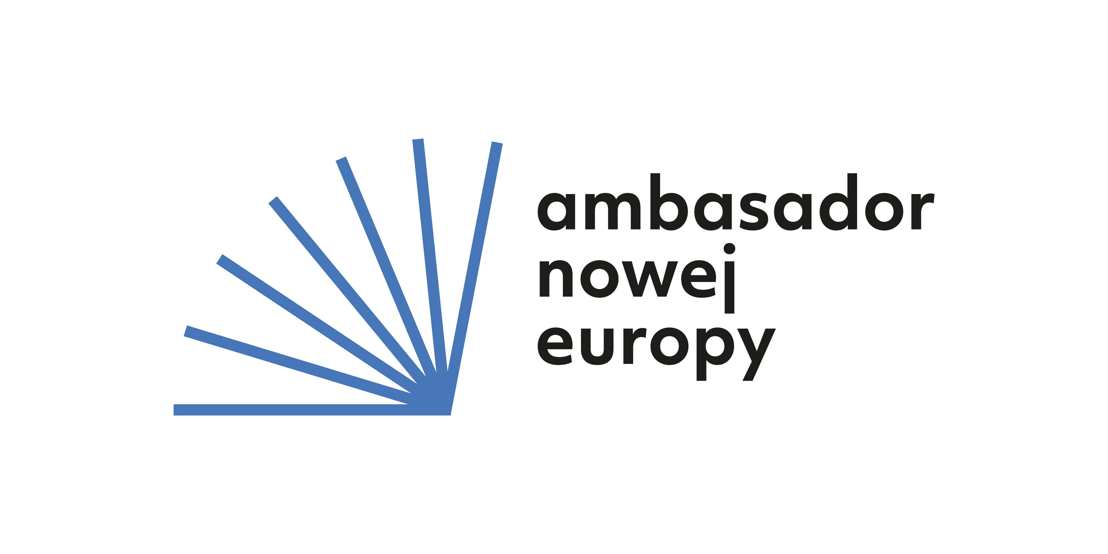 Nabór do konkursu wydawniczego "Ambasador Nowej Europy"